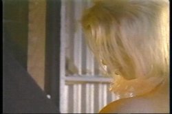 'Vivid's Greatest Tits' screenshot nº 11