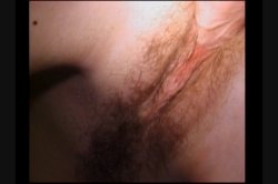 Captura de 'More Dirty Debutantes #97' nº 138