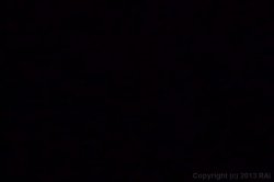 'BBBW 15' screenshot nº 2