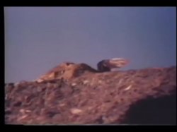 Captura de 'That's Erotic' nº 3