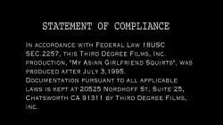 'My Asian Girlfriend Squirts' screenshot nº 1