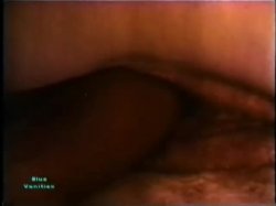 Captura de 'Peepshow Loops 97: 70's & 80's' nº 8