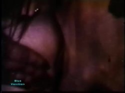 Captura de 'Peepshow Loops 97: 70's & 80's' nº 85