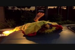 'Pajama Party X: Part 2' screenshot nº 96