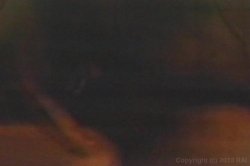 Captura de 'Real Boogie Nights, The' nº 69