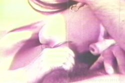 Captura de 'Real Boogie Nights, The' nº 117
