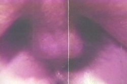 Captura de 'Real Boogie Nights, The' nº 119