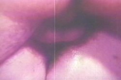 Captura de 'Real Boogie Nights, The' nº 128