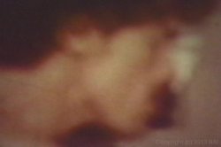 Captura de 'Real Boogie Nights, The' nº 14