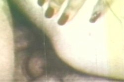 Captura de 'Real Boogie Nights, The' nº 45