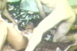 Captura de 'Real Boogie Nights, The' nº 49