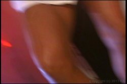 'Hispanic Honey' screenshot nº 88