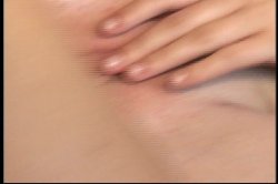 'Hispanic Honey' screenshot nº 12