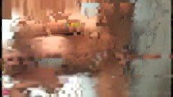 Captura de 'Interracial Gloryhole Initiations' nº 135