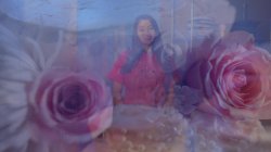'Lessons Vol. 1' screenshot nº 2