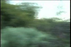 'Black Cherry CoEds 1' screenshot nº 3