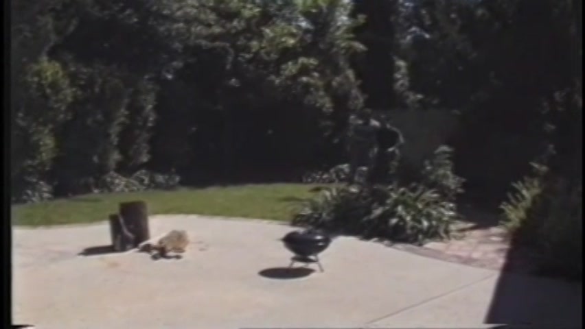 Real Deal Cum Freaks Vol. 1 - Scene 2