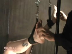 Captura de 'TBC 337 - The Tickle Channel 43' nº 84