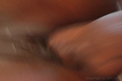 'Booty Central 8' screenshot nº 22