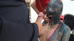 'Rocco: Animal Trainer 31' screenshot nº 75
