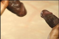 Captura de 'Ebony Cheerleaders' nº 103