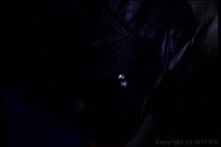 Captura de 'Only the Best of Fetish' nº 103
