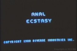 Captura de 'Seka's Anal Ecstasy' nº 2