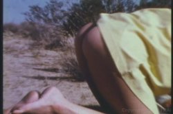 Captura de 'Seka's Anal Ecstasy' nº 24