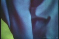 Captura de 'Seka's Anal Ecstasy' nº 41