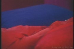 Captura de 'Seka's Anal Ecstasy' nº 74
