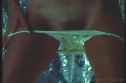 Captura de 'Seka's Anal Ecstasy' nº 84