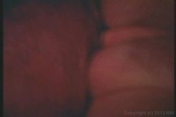 Captura de 'Seka's Anal Ecstasy' nº 89
