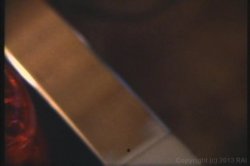 Captura de 'Candy's Bedtime Stories' nº 10