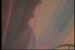 Captura de 'Banging Brunettes' nº 59