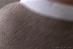 'Bachelor Party Fuckfest 6' screenshot nº 59