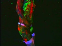 Captura de 'Alternative Worldz' nº 78