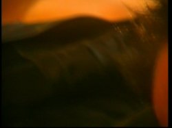 'Poolhall Sex Junkies' screenshot nº 5
