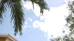 Captura de 'Little Girls Love Big Dicks 4' nº 87