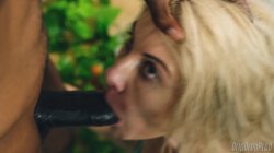 Captura de 'Glazed 1' nº 27