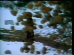 'Memories Within Miss Aggie' screenshot nº 115