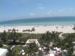 'Fuckin' Around In South Beach' screenshot nº 39