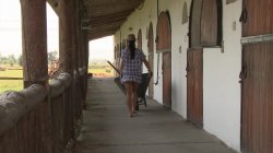 'Anal Farm Girls' screenshot nº 2