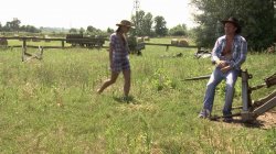 'Anal Farm Girls' screenshot nº 3