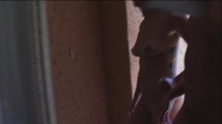 'Brianna Cole is a Jerky Girl Vol. 1' screenshot nº 2