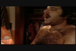 Captura de 'Super Stud Spectacular Vol. 4: Ron Jeremy' nº 37