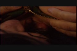 Captura de 'Super Stud Spectacular Vol. 4: Ron Jeremy' nº 83