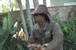 'Amazon Bitches' screenshot nº 40