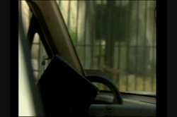 'Caribbean Heat' screenshot nº 68