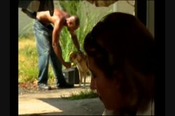 'Caribbean Heat' screenshot nº 74