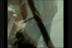 'Caribbean Heat' screenshot nº 98